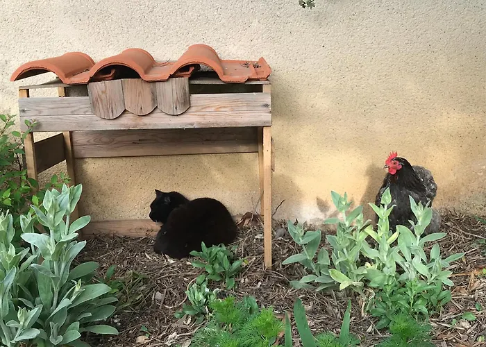 Nuitee Naturopathique La Rochelle
